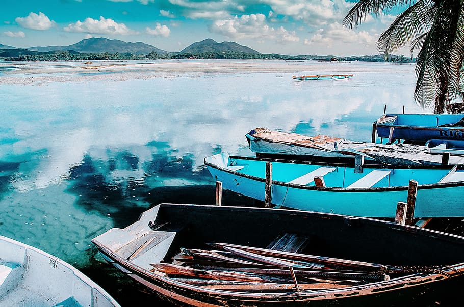 Boats, Coconut, Trees, Pond, coconut trees, water, nautical vessel HD wallpaper