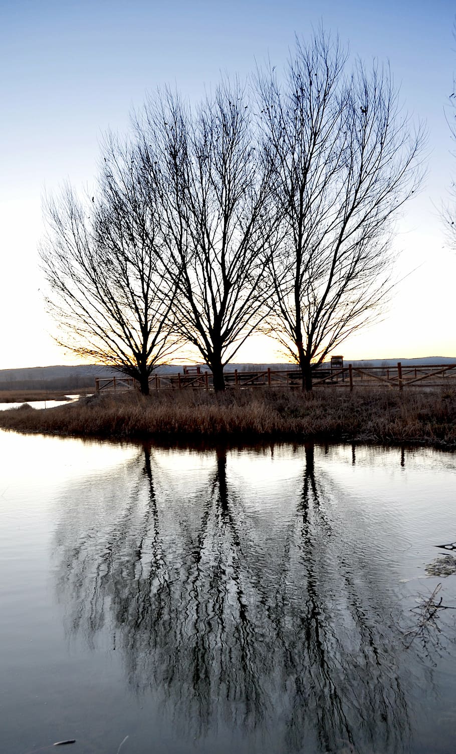 reflection, pond, lake, silhouette, nature, landscape, autumn HD wallpaper