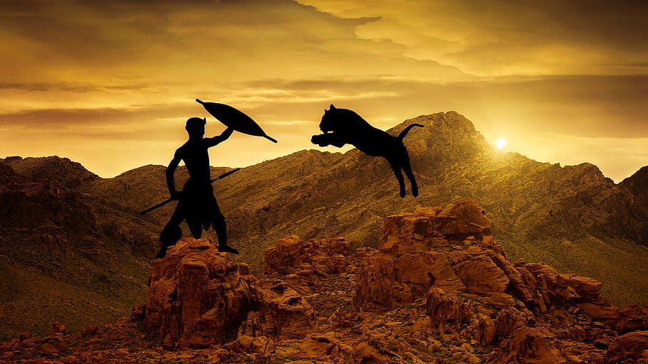 silhouette of man fighting animal under golden sky, design HD wallpaper