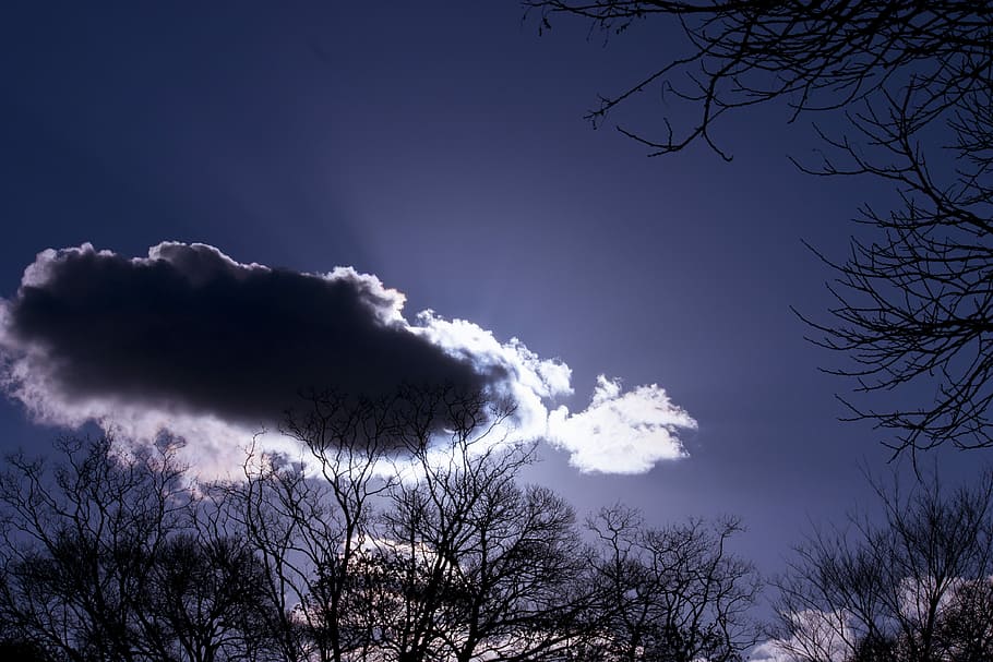 Fantastic, Purple, Cloud, Dynamic, decadent, sky, sunset, nature HD wallpaper