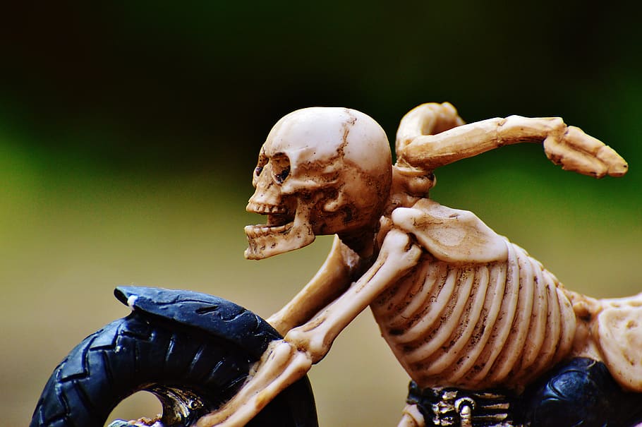 HD wallpaper: biker, skeleton, creepy, weird, decoration, scary, bone,  horror | Wallpaper Flare