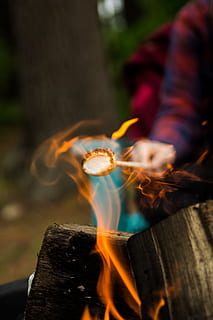 person barbecuing marshmallow, Toasting Marshmallow, flame, roast HD wallpaper