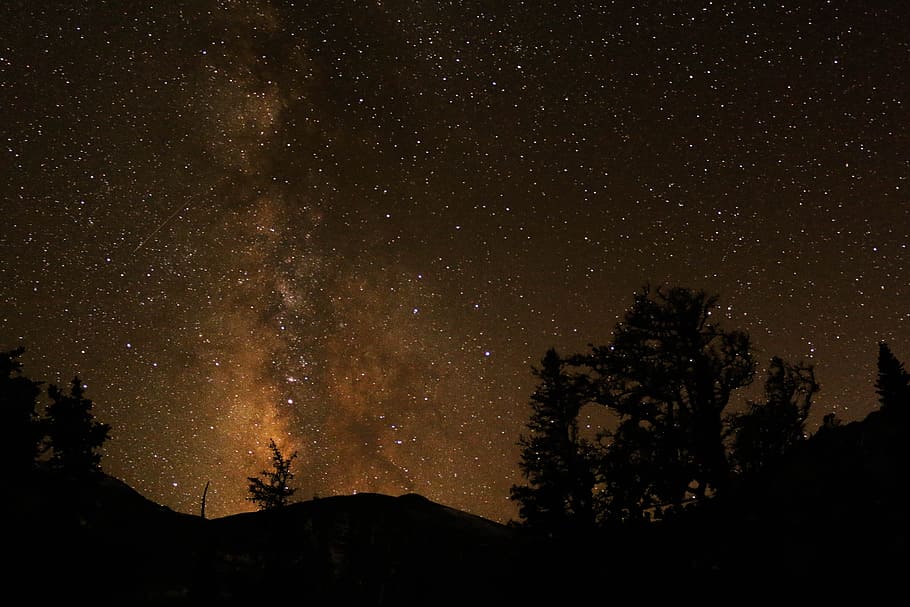 silhouette of trees under starry sky during night time, silhouette photograph of forest during night time, HD wallpaper