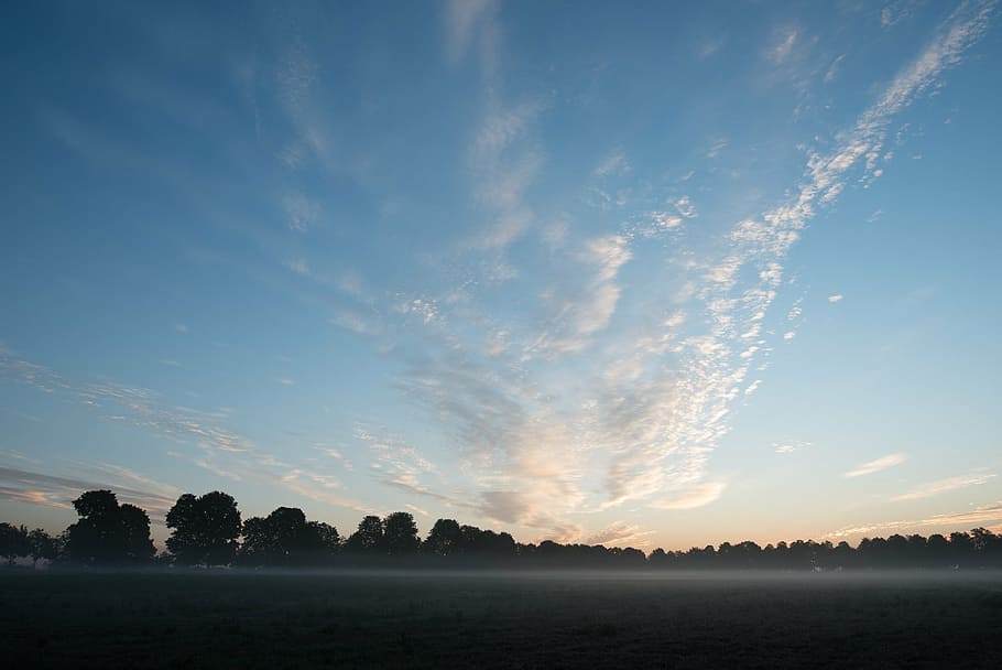 sunrise, sky, field, trees, cloud - sky, environment, beauty in nature HD wallpaper