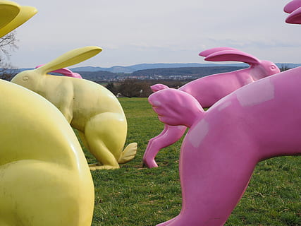 Rabbit, Artwork, bunny butt, yellow, pink, seat and flitz rabbits HD wallpaper
