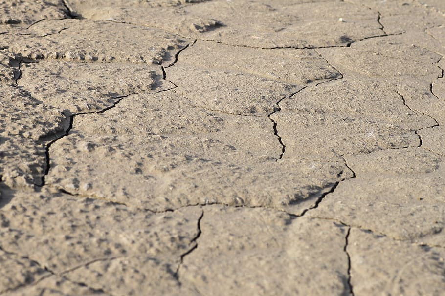 Cracks, Ground, Dry, Drought, grey, shriveled from, sandy, background HD wallpaper