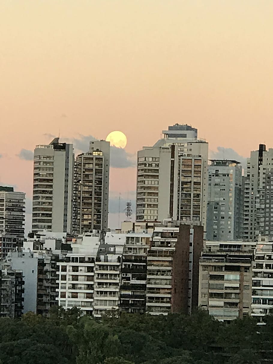 moon, sky, city, building exterior, architecture, built structure HD wallpaper