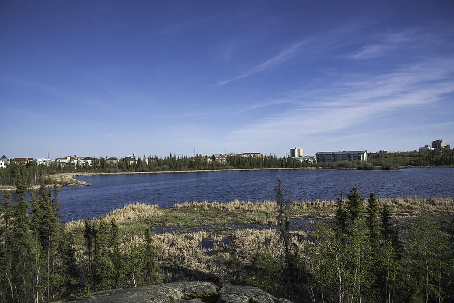 Houses across from Niven Lake in Yellowknife, canada, landscape, HD wallpaper