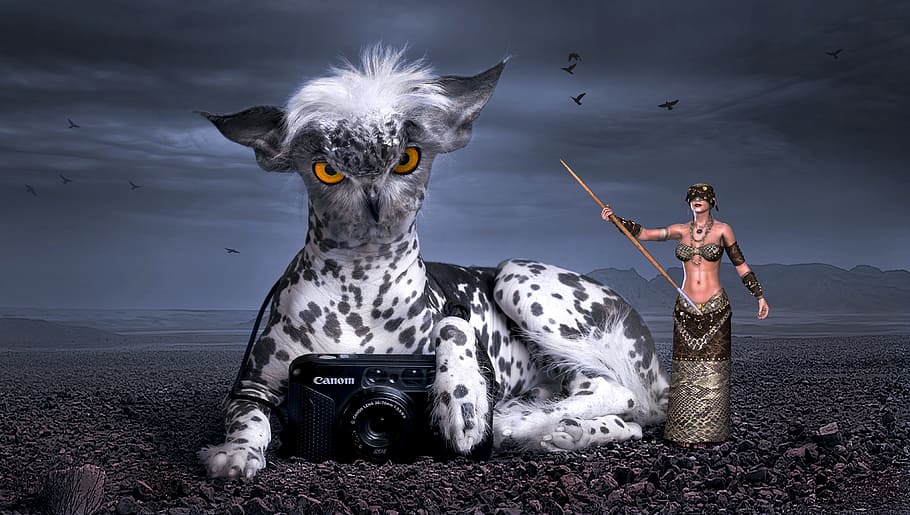 photo of black Camera with white and black animal and woman holding stick 3D illustration HD wallpaper