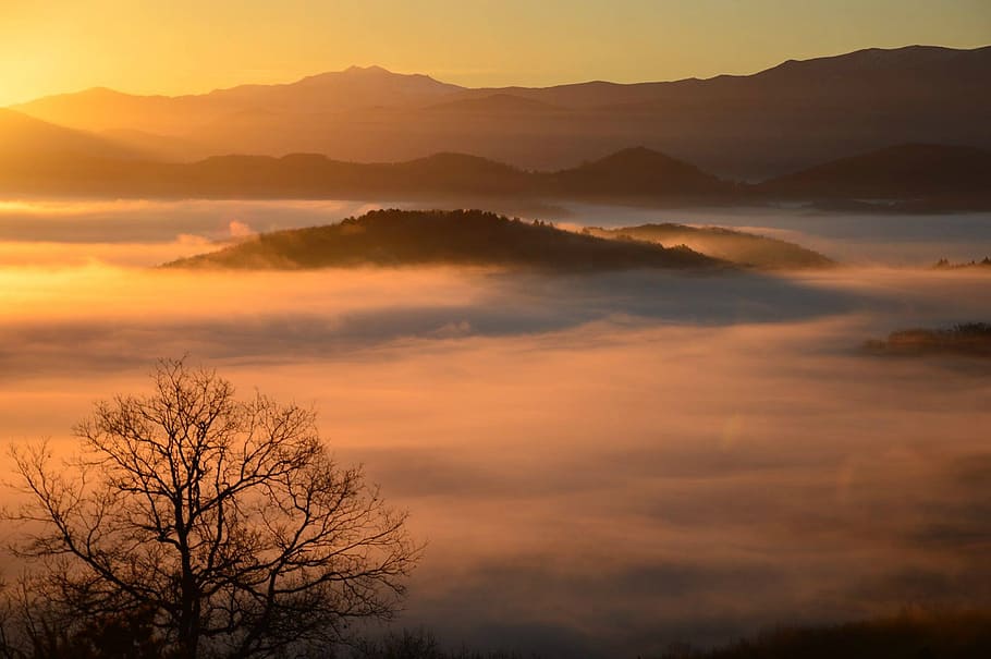 east, tree, cloud, sky, mountain, nature, nice, forest, sun HD wallpaper