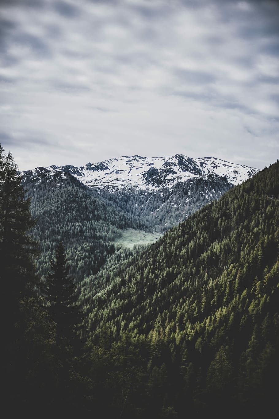 bird's eye view photography of mountain, aerial view photography of snow-covered mountain surrounded by pine trees during daytime HD wallpaper