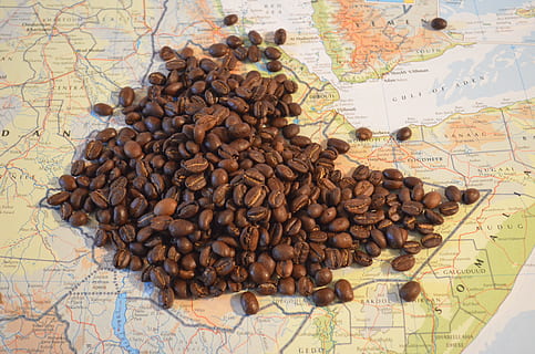 coffee beans on map, ethiopia, africa, sidamo, no people, large group of objects HD wallpaper