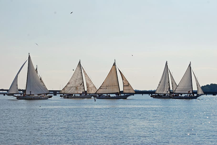Skipjack, Sailing, Boat, sea, water, sailboat, blue, sky, no people HD wallpaper