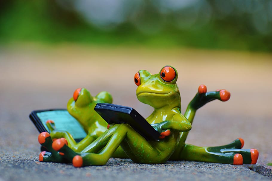frogs, computer, relaxed, figure, funny, rest, relaxation, lying HD wallpaper