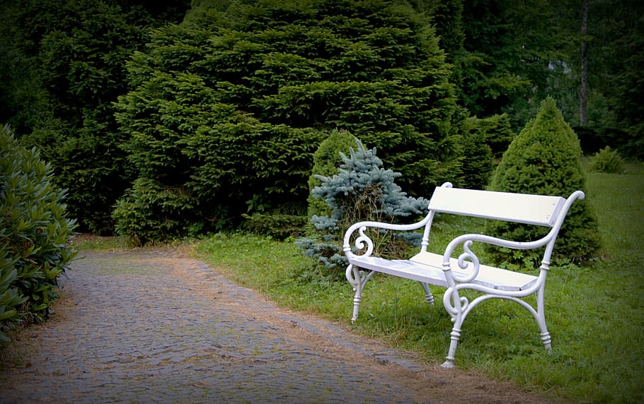white steel bench on green grass field, park, park bench, trees HD wallpaper