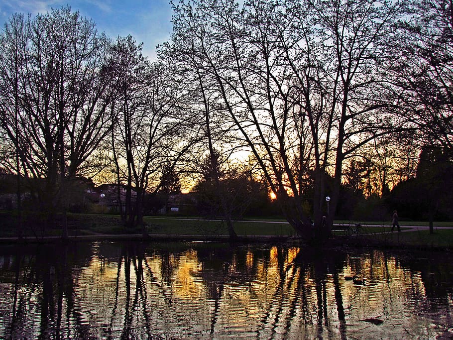 pond, water, tree, west, the sun, sunset, reflection, lake HD wallpaper