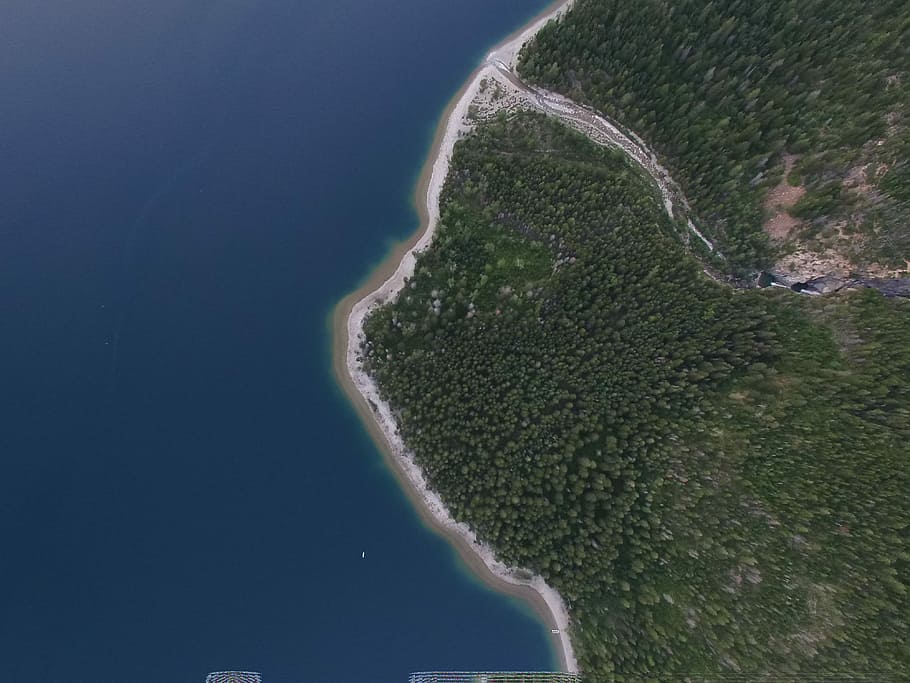 aerial photography of forest near ocean, aerial photo of forest HD wallpaper