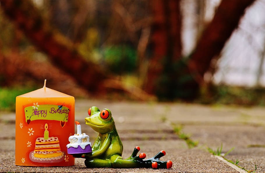 frog sitting while holding cake figurine beside orange candle on concrete surface during day