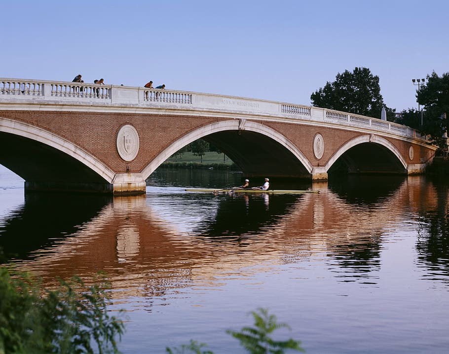 bridge, river, skulling, rowing, boat, arches, landscape, view HD wallpaper