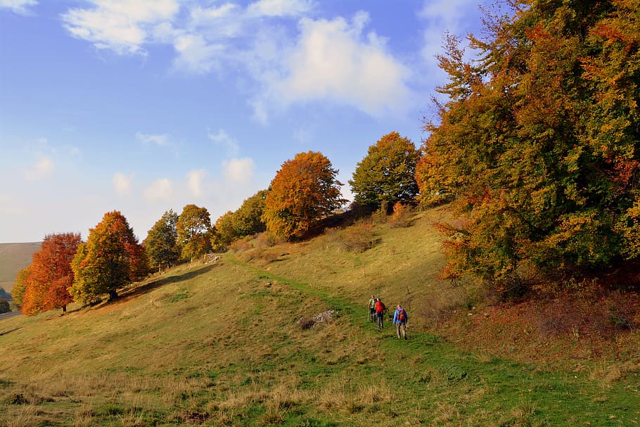 excursion, trees, autumn, trail, mountain, the european path, HD wallpaper