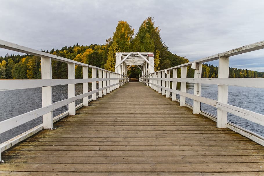 bridge, nature, tree, architecture, wooden, island, bridge railing HD wallpaper