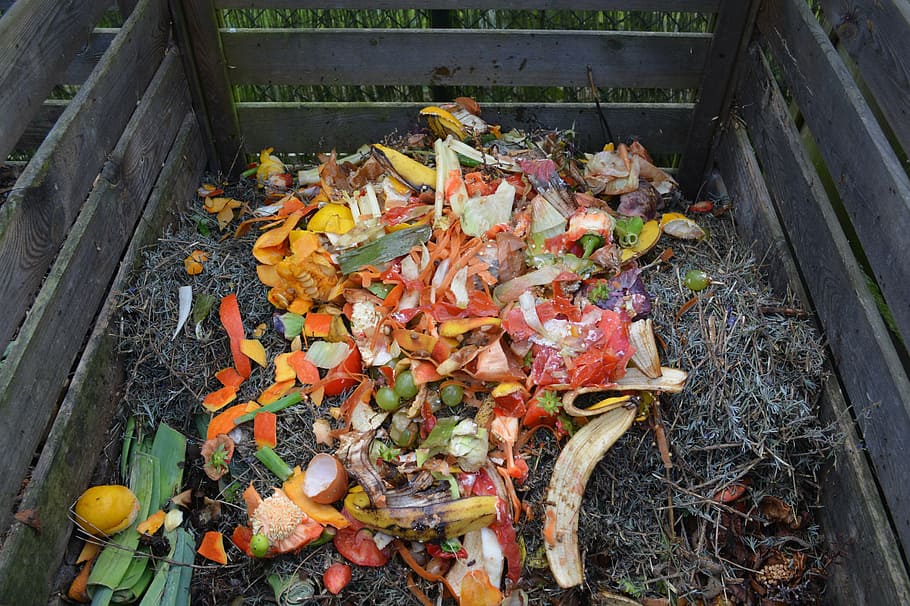 bunch of fruit peels, green waste, compost, compost bin, high angle view