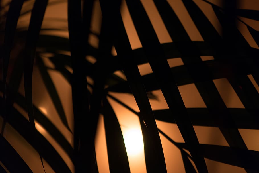 Palm, Diffuse, Hip, Hipster, Fog, art, neon, color, disco, party HD wallpaper