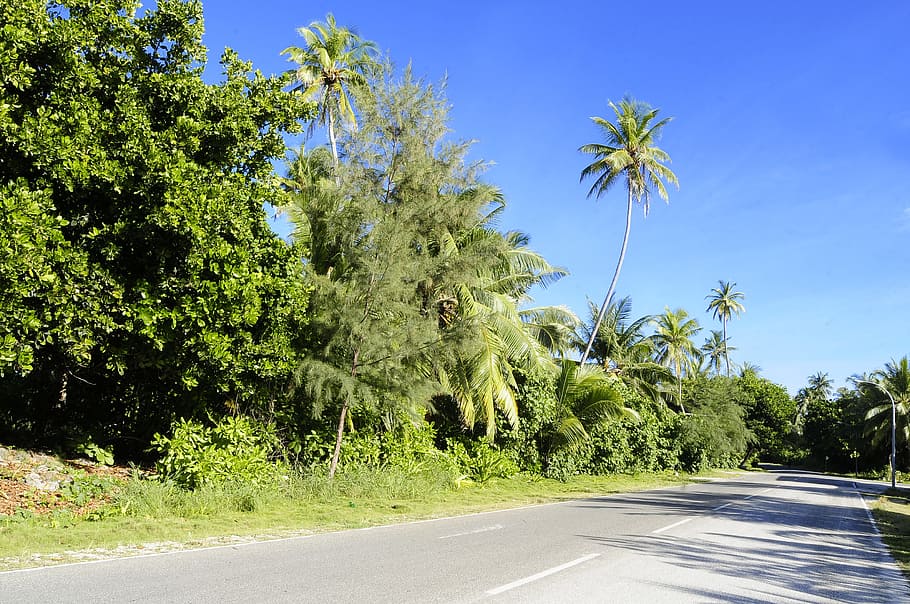 road, landscape, nature, sky, country, daylight, environment HD wallpaper