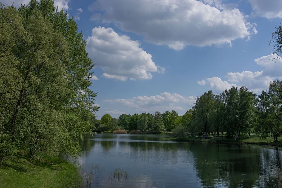nature, waters, tree, lake, reflection, sky, landscape, summer HD wallpaper