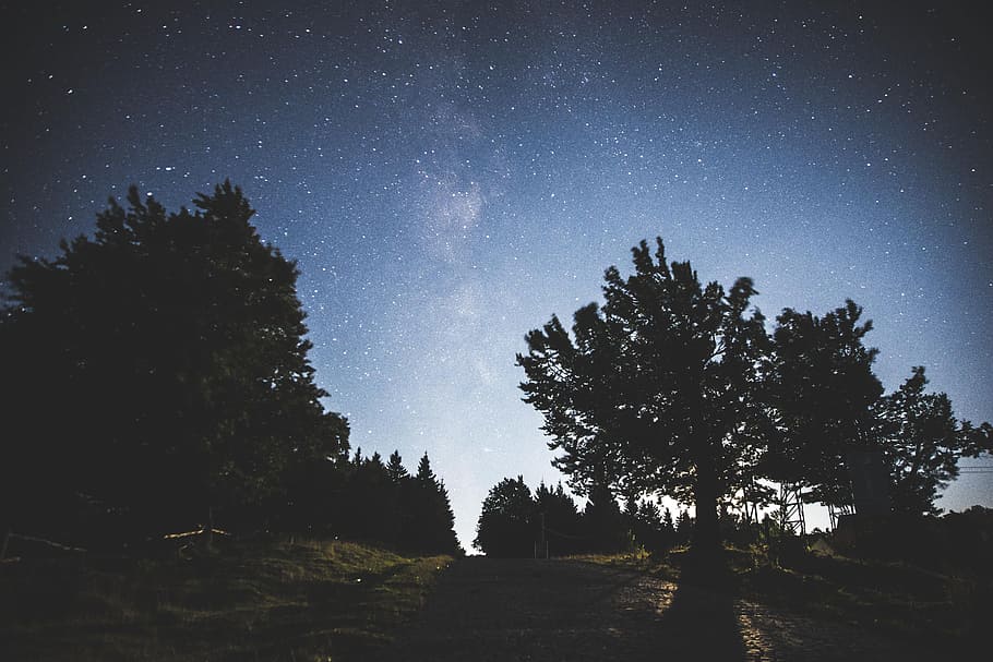 milky way sky, silhouette of trees during nighttime, Semenic HD wallpaper