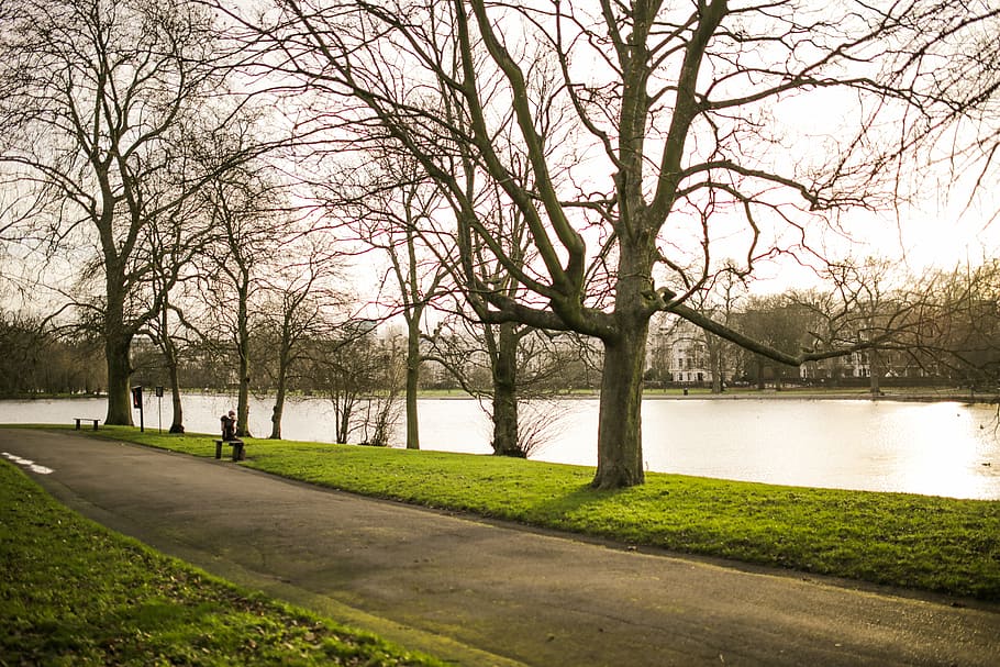 grass, outdoors, park, path, person, river, trees, nature, park - Man Made Space HD wallpaper