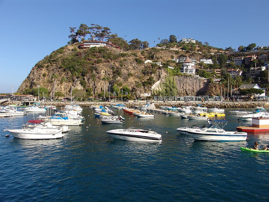catalina, island, california, avalon, boats, sea, nautical Vessel, HD wallpaper