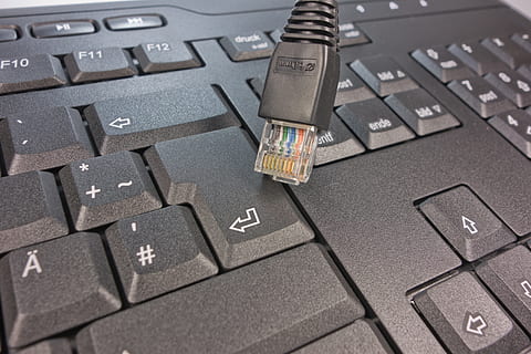 closeup photo of black computer keyboard, Network Cables, keys HD wallpaper