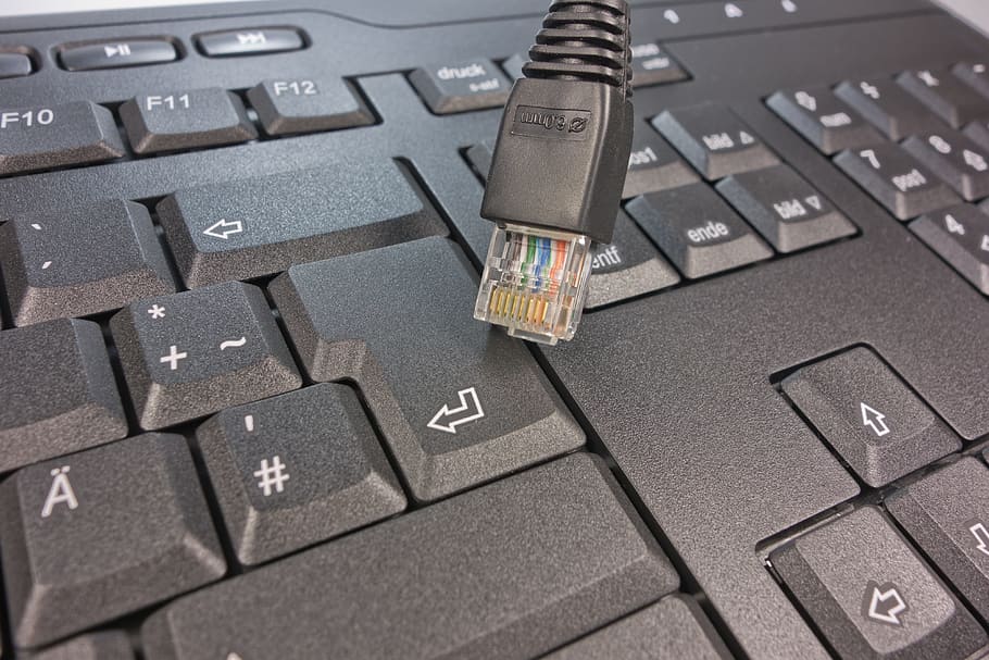 closeup photo of black computer keyboard, Network Cables, keys HD wallpaper