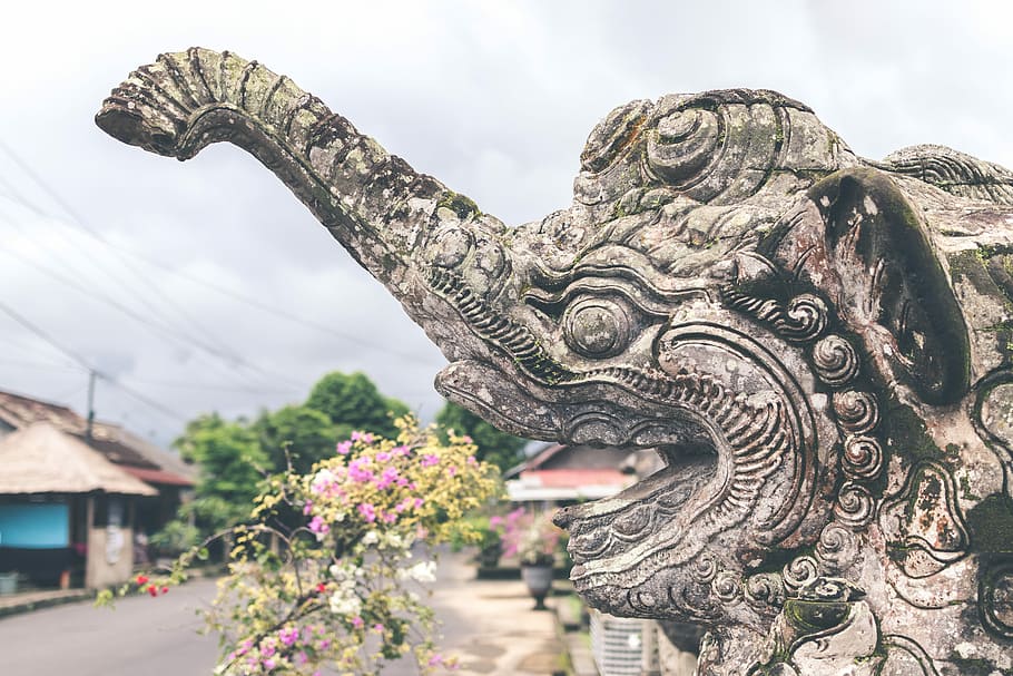 Hindu stone statue in the balinese temple, brow concrete elephant patio photo HD wallpaper