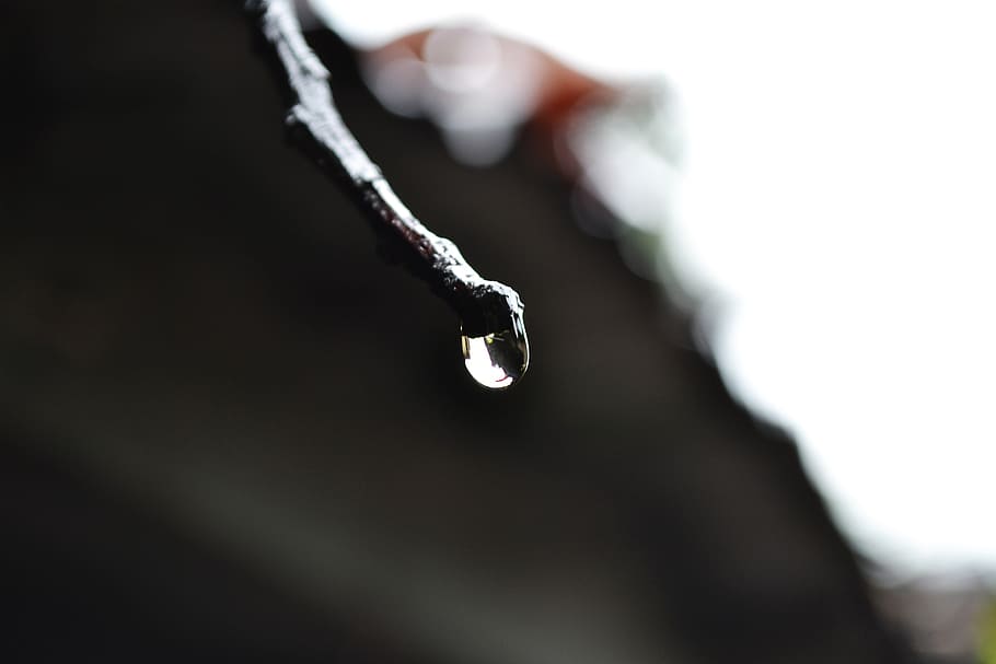 water drop, rain drop, nature, sri lanka, ceylon, mawanella HD wallpaper