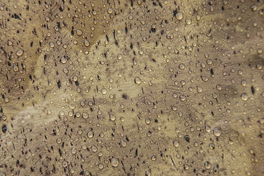 brass, water, gloss, historically, gold, reflections, metal HD wallpaper