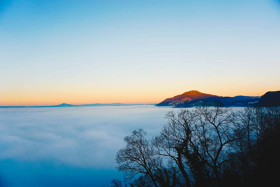 silhouette of trees near white clouds, mountain and bare trees during sunrise HD wallpaper