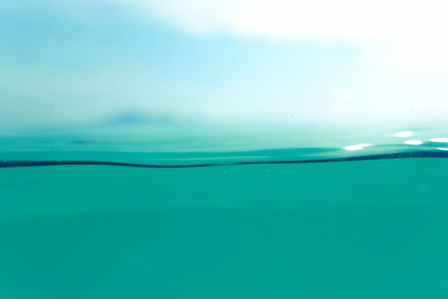 untitled, macro, cross section, surface, texture, nature, water HD wallpaper