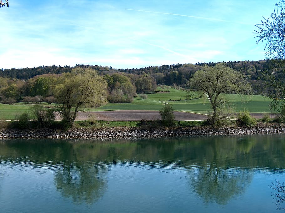 rest, water, river, mirroring, nature, tree, tranquility, plant HD wallpaper