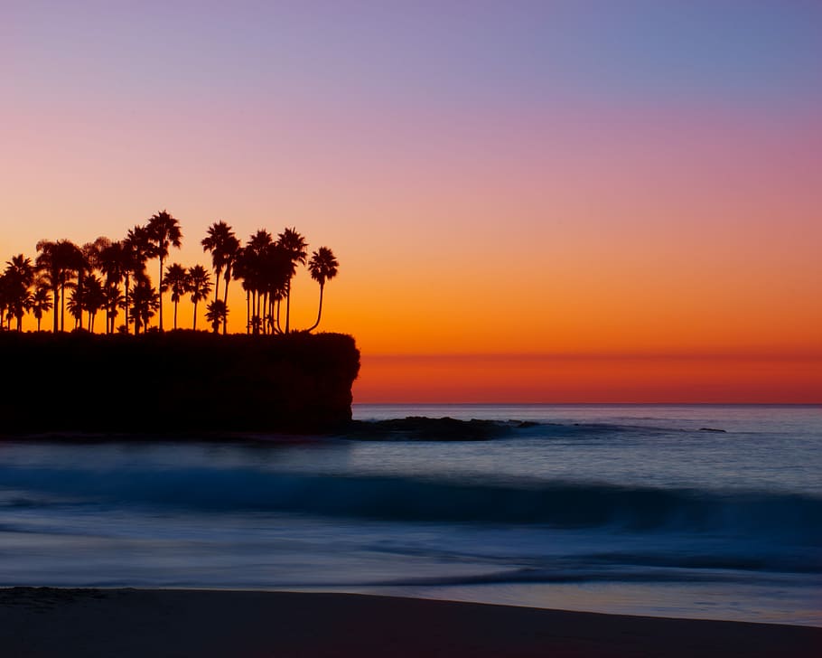silhouette photograph of palm trees on island, landscape photography of seashore near island HD wallpaper