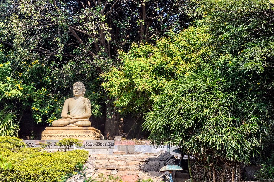 Gautama Buddha Statue in Japan, bamboo trees, daylight, environment HD wallpaper