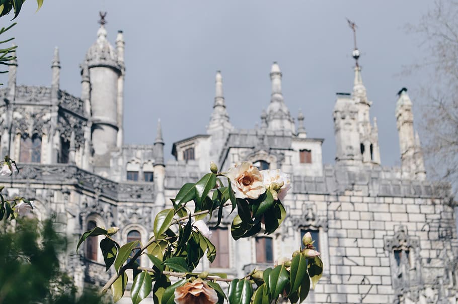 sintra, portugal, quinta da regaleira, travel, castle, landmark, HD wallpaper