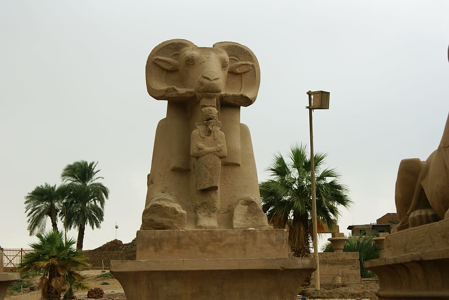 luxor, egypt, karnak, architecture, palm tree, sculpture, religion HD wallpaper