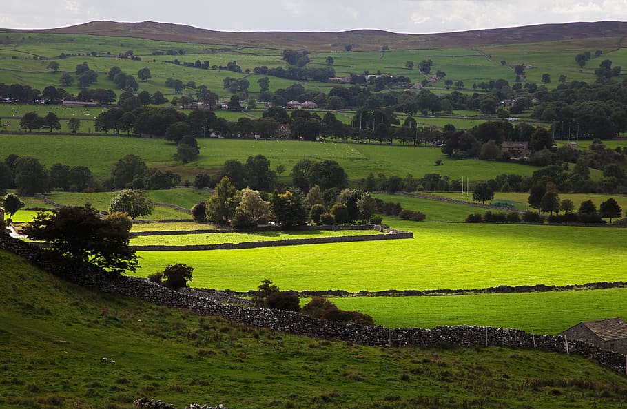 photo of open green field, Country, Countryside, Dales, England