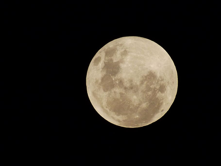 moon, night, nocturne, full moon, dark, sky, brightness, landscape HD wallpaper