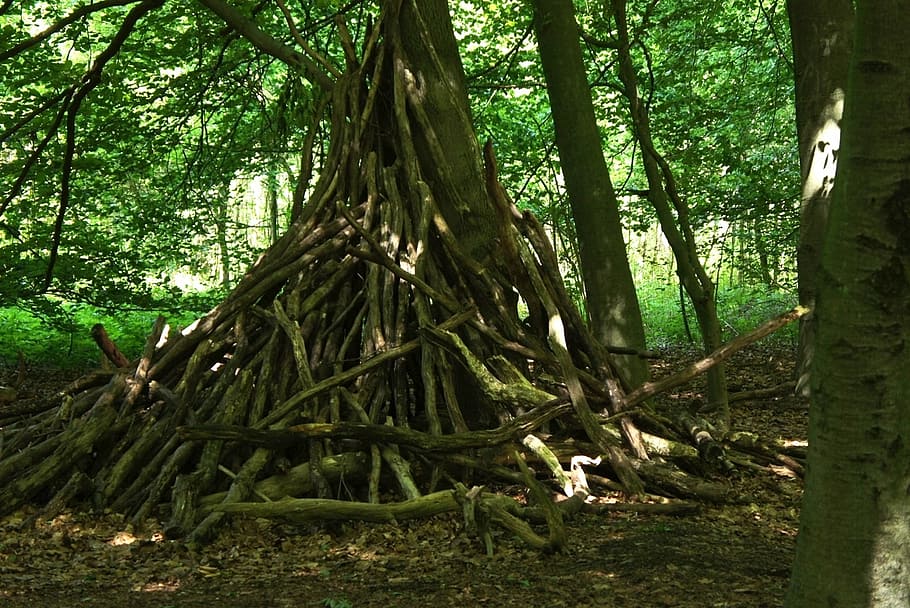 adventure, forest, trees, play, children, hut, plant, tree trunk HD wallpaper