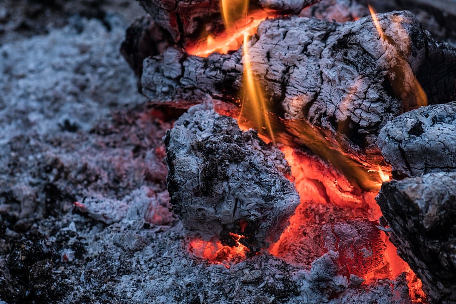 Fire, Barbecue, Coal, Food, espeto, food fire, moraga, flame HD wallpaper