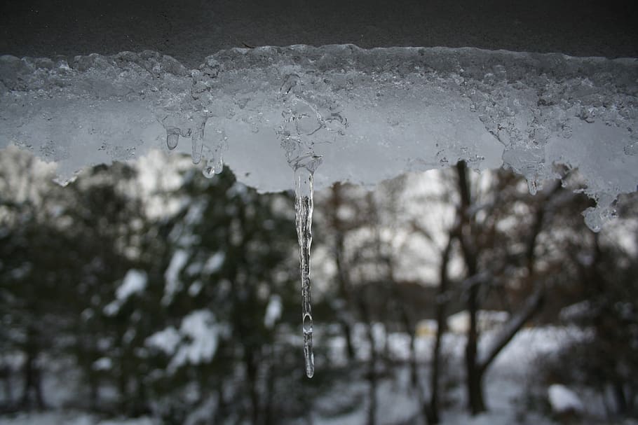 nature, tree, snow, winter, wood, cold, water, ice, icicle HD wallpaper