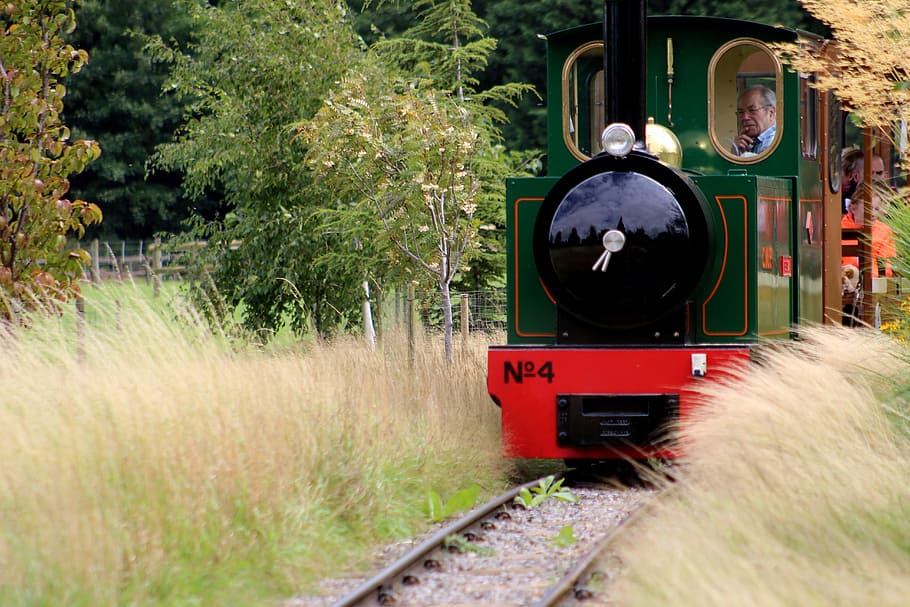 train, leisure ride, park, engine, mode of transportation, plant HD wallpaper